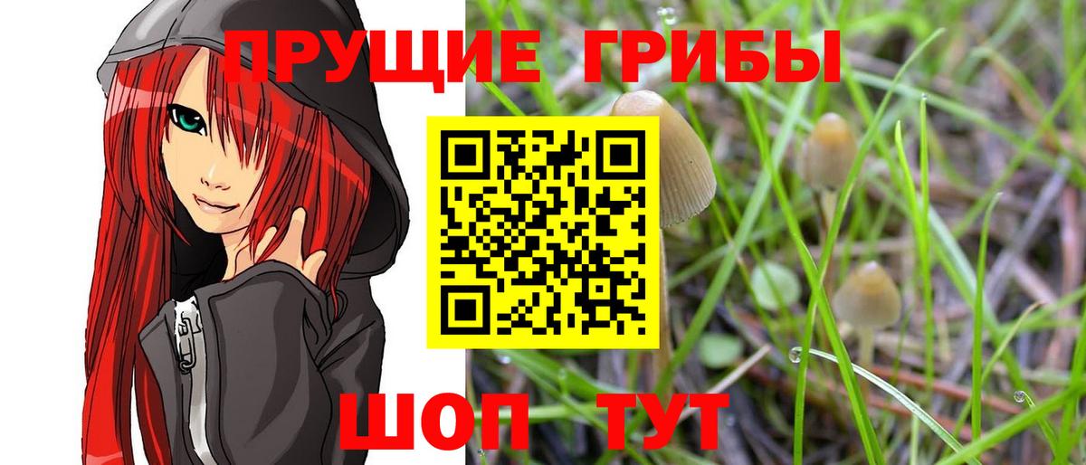 Галлюциногенные грибы MAGIC MUSHROOMS Шахты