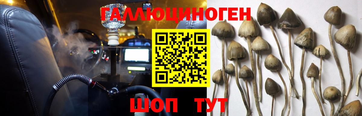 Псилоцибиновые грибы прущие грибы  Галлюциногенные грибы Psilocybe  Шахты  Вход с VPN 